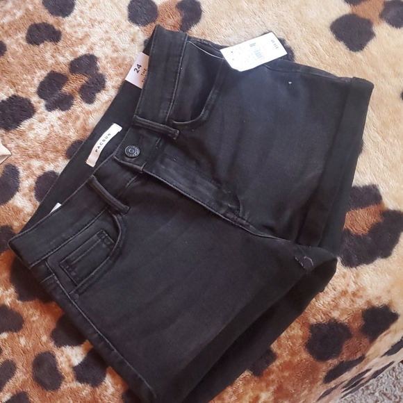 Pacsun The Shortie - Picture 3 of 3